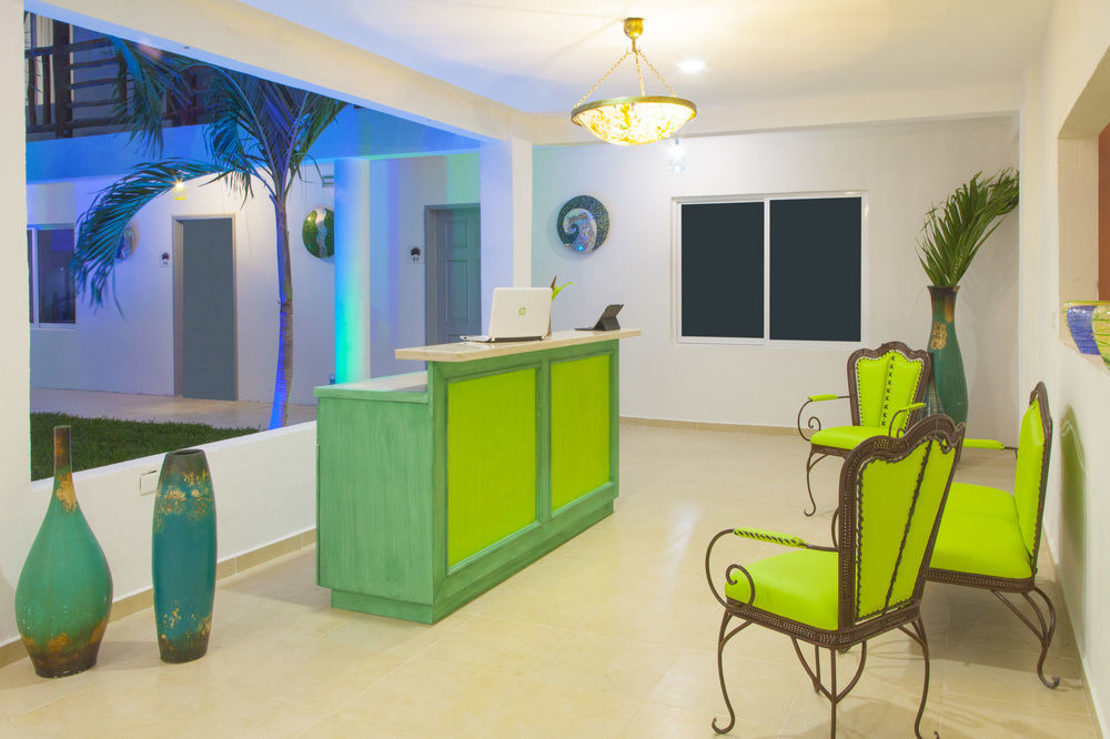 Mestizo Gallery Tulum Dış mekan fotoğraf