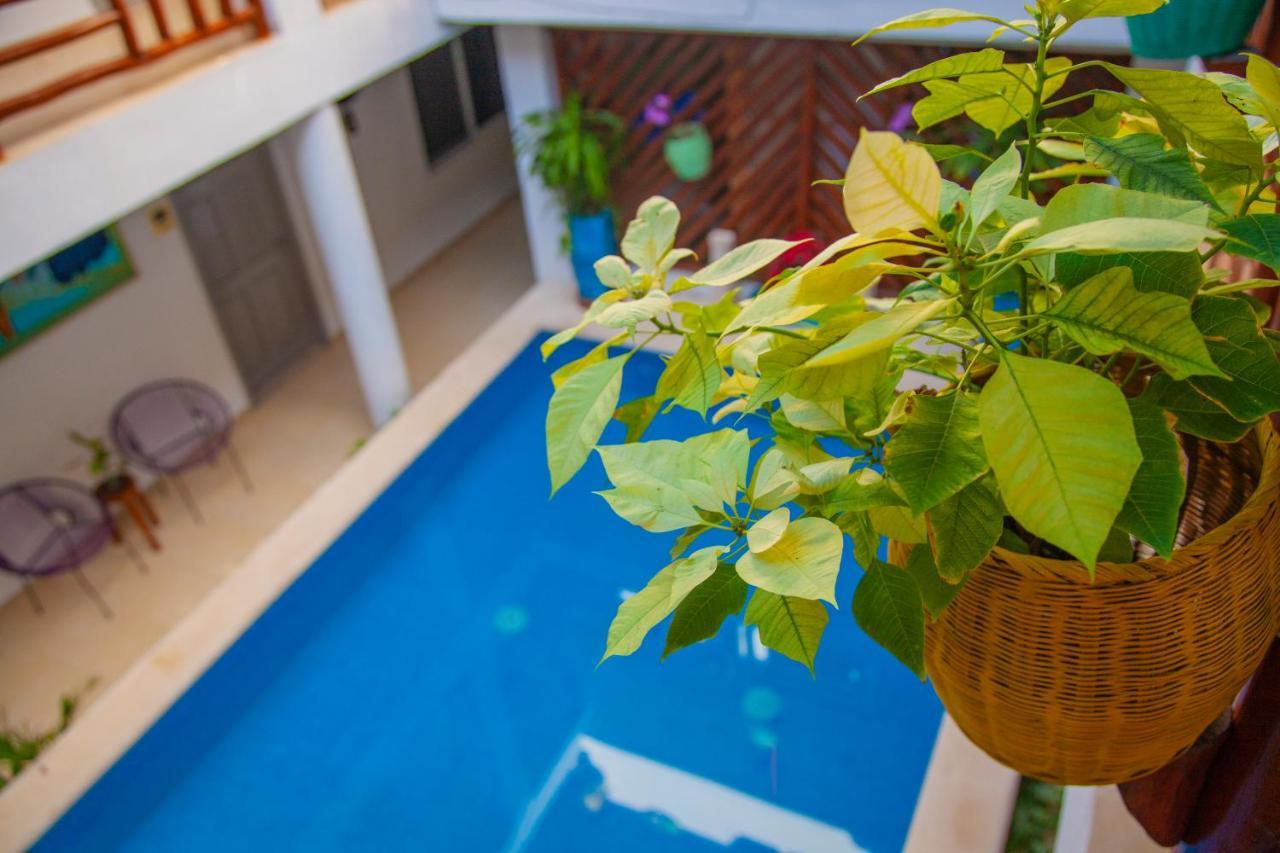 Mestizo Gallery Tulum Dış mekan fotoğraf